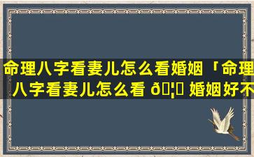 命理八字看妻儿怎么看婚姻「命理八字看妻儿怎么看 🦟 婚姻好不好」